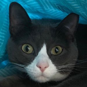 Meet your Posher, Andrew